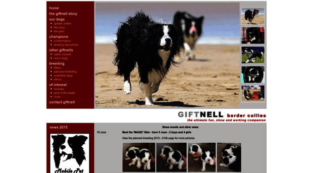 giftnell.co.za