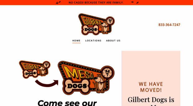 gilbertdogs.com