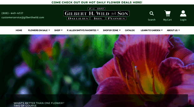 gilberthwild.com