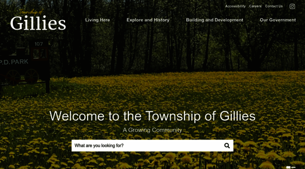 gilliestownship.com