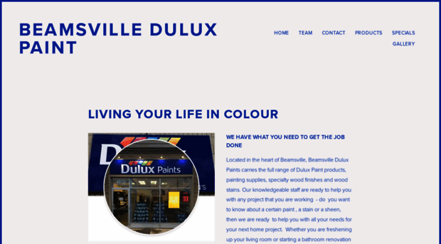 gilligansduluxpaint.com