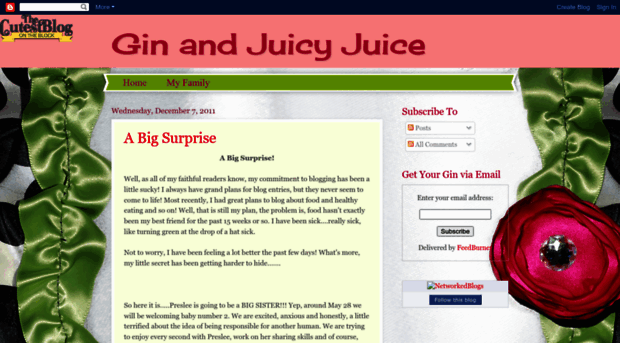 ginandjuicyjuice.blogspot.com