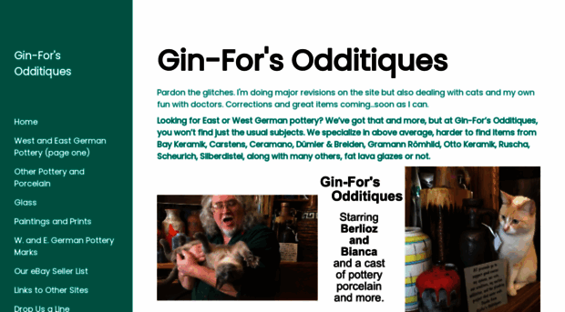 ginforsodditiques.com