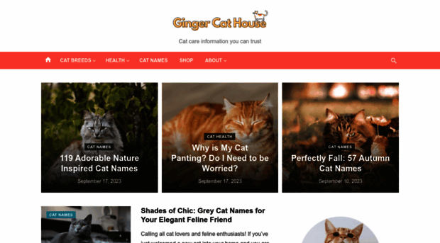 gingercathouse.co.uk