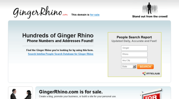 gingerrhino.com