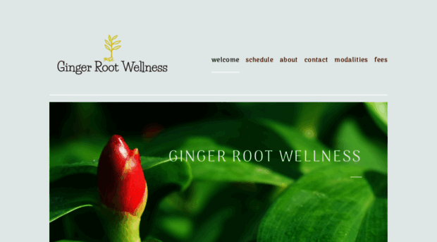 gingerrootwellness.com