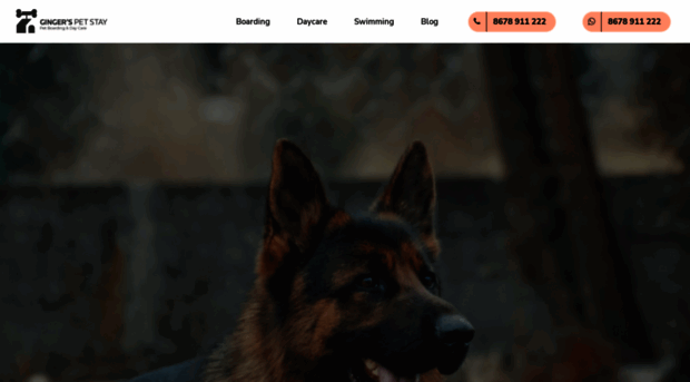 gingerspetstay.com