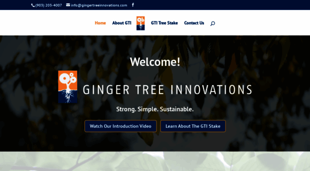 gingertreeinnovations.com