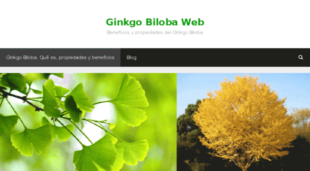 ginkgobilobaweb.com