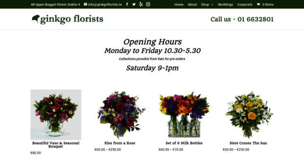 ginkgoflorists.ie