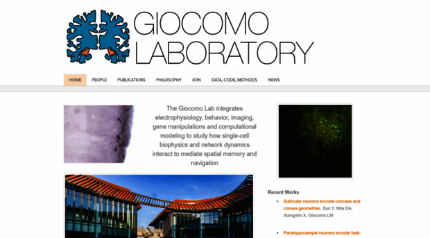 giocomolab.weebly.com