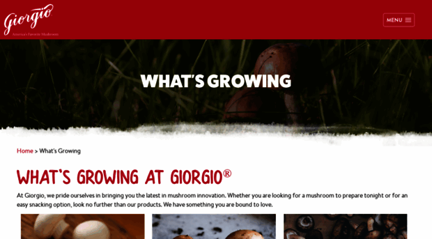 giorgiofoods.com