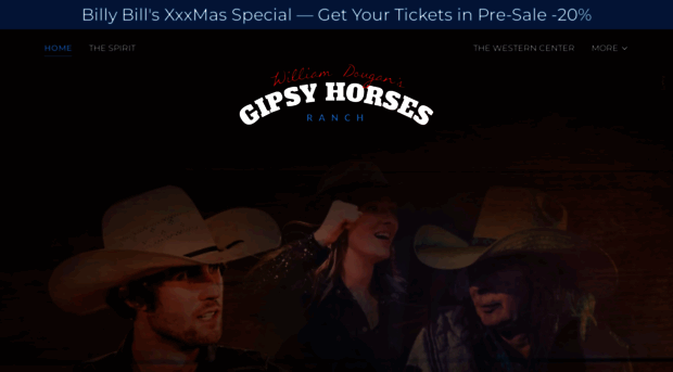 gipsyhorses.com