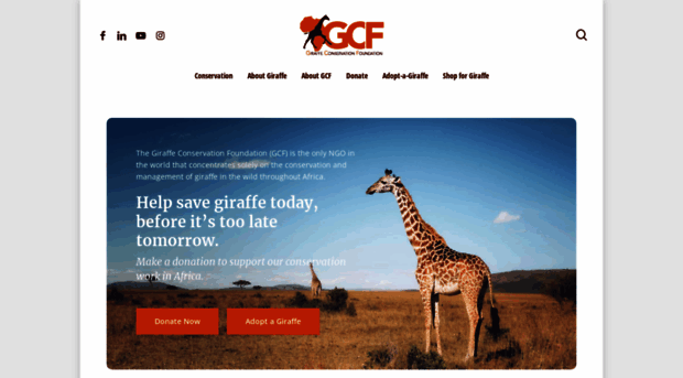 giraffeconservation.org