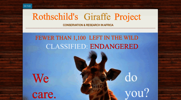 girafferesearch.com