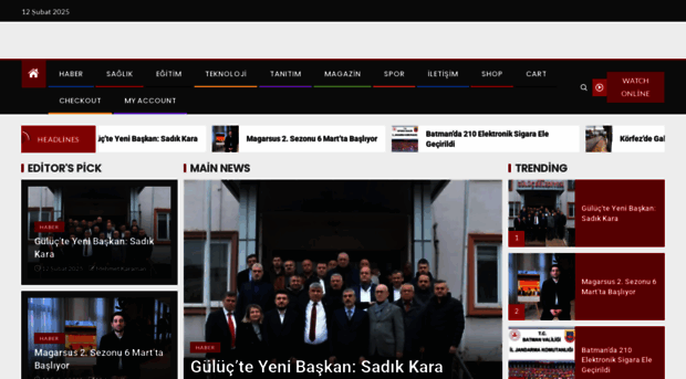 giresun-saglik.com.tr