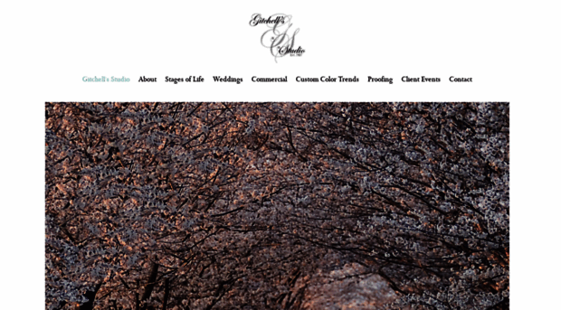 gitchellsstudio.com