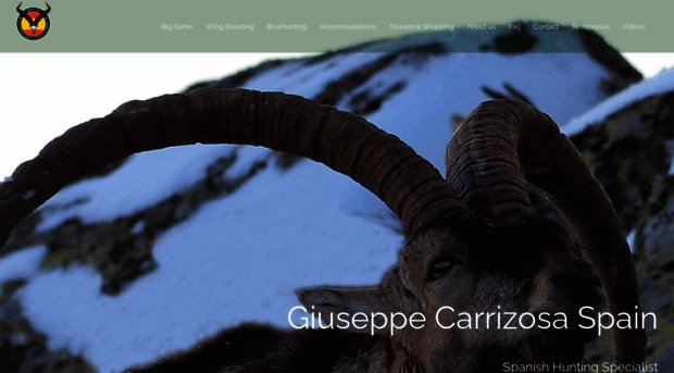 giuseppecarrizosa.com