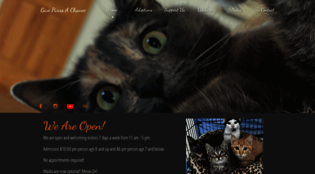 givepurrsachance.org