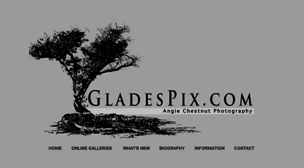 gladespix.com