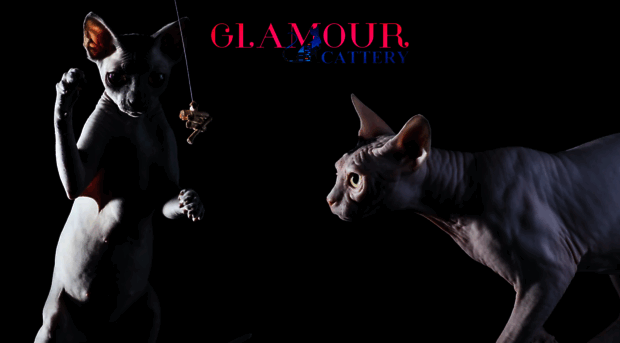 glamourcattery.com