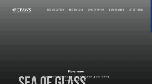 glassspongereefs.com