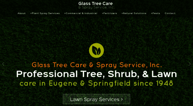 glasstreecare.squarespace.com