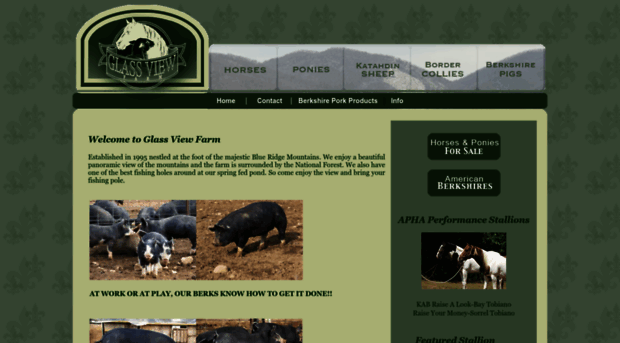 glassviewfarm.com