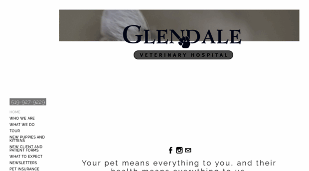 glendalevethospital.com