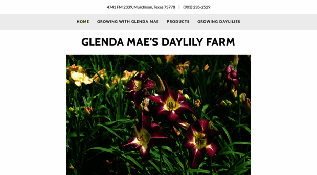 glendamaesdaylilyfarm.com