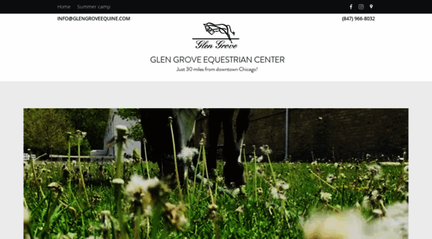 glengroveequine.com