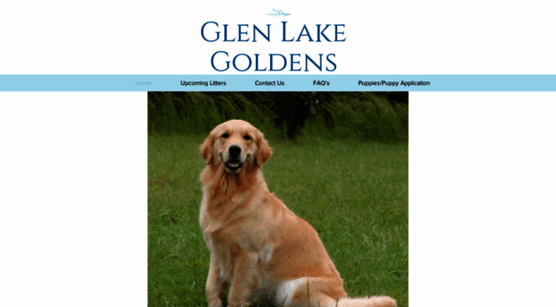 glenlakegoldens.com