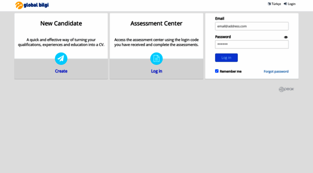 globalbilgi.hrpeak.com
