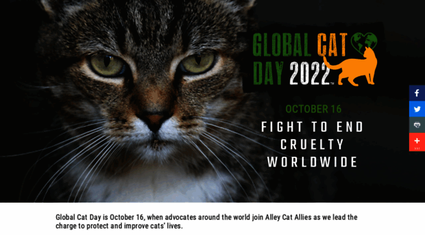 globalcatday.org