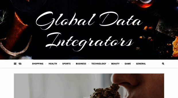 globaldataintegrators.com