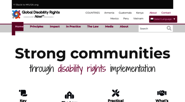 globaldisabilityrightsnow.org