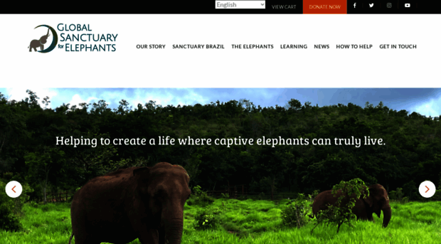 globalelephants.com