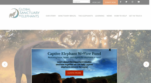 globalelephants.org