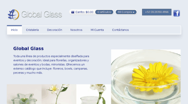 globalglass.com.mx