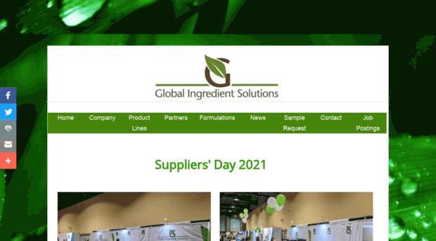 globalingredientsolutions.com