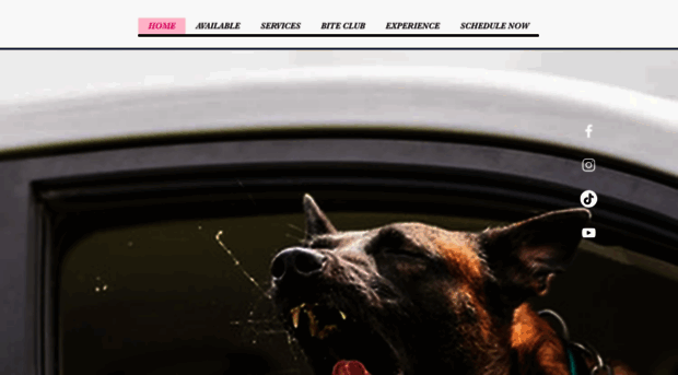 globalk9protection.com