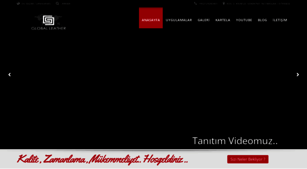 globalleatherturkiye.com