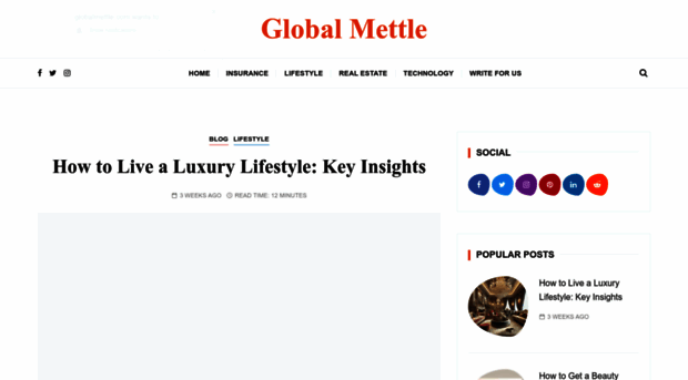 globalmettle.com