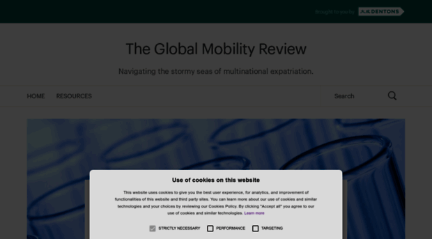 globalmobilityreview.com