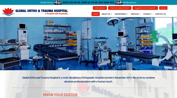 globalorthohospital.com