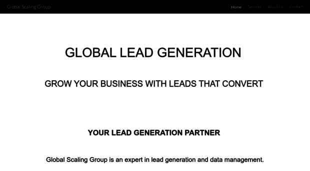 globalscalinggroup.com