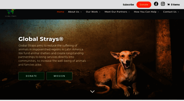 globalstrays.org