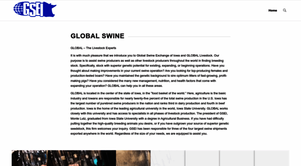 globalswine.com