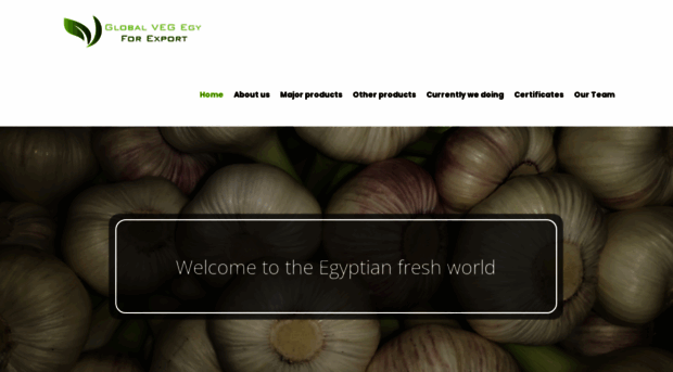 globalvegy.com
