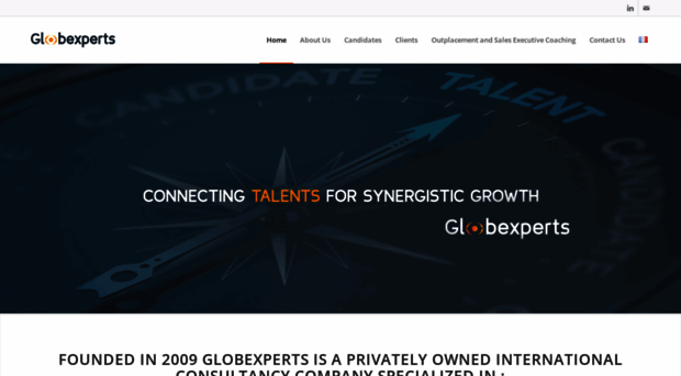 globexperts-consulting.com